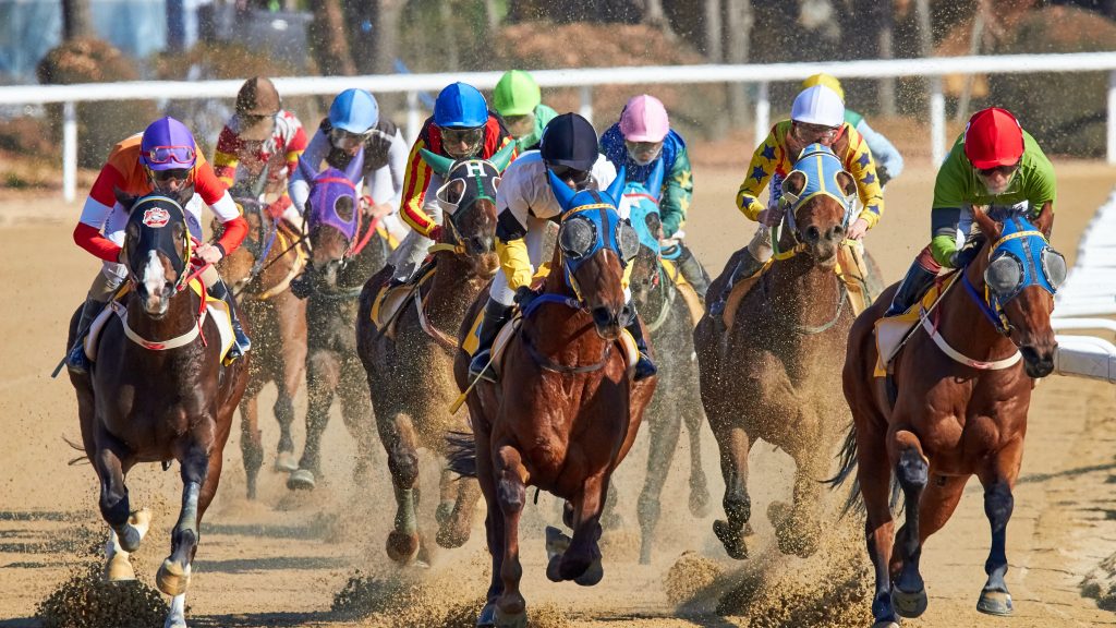What is the Horse Racing System